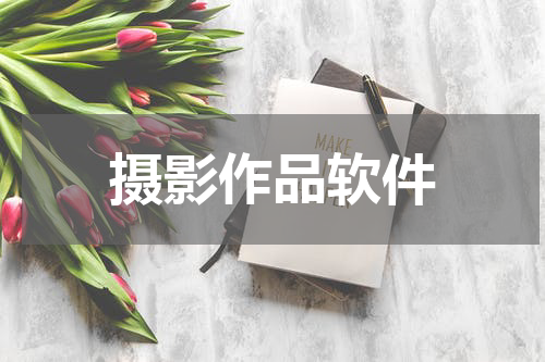 摄影作品软件