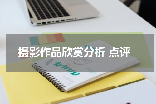 摄影作品欣赏分析 点评