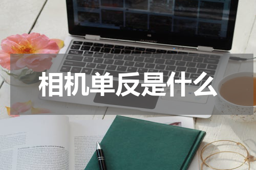 相机单反是什么
