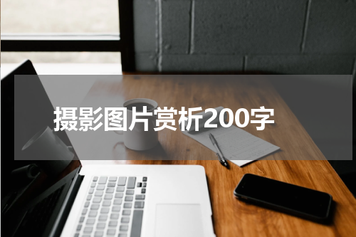 摄影图片赏析200字