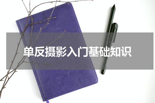 单反摄影入门基础知识