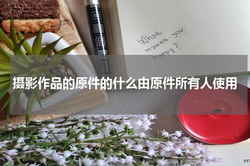 摄影作品的原件的什么由原件所有人使用