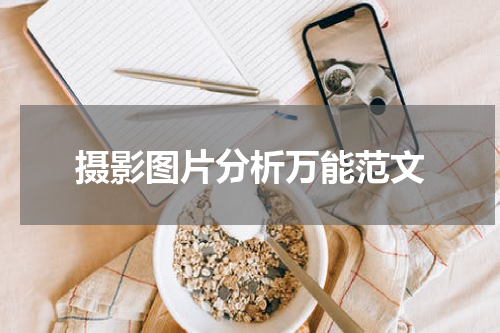 摄影图片分析万能范文