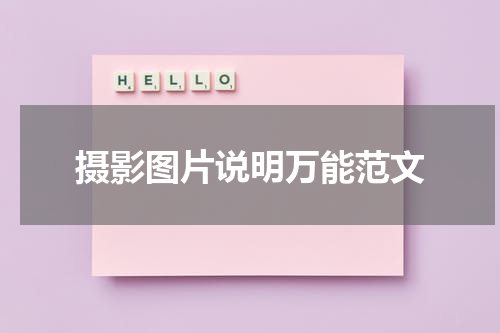 摄影图片说明万能范文
