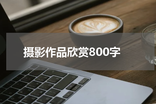 摄影作品欣赏800字