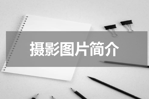 摄影图片简介
