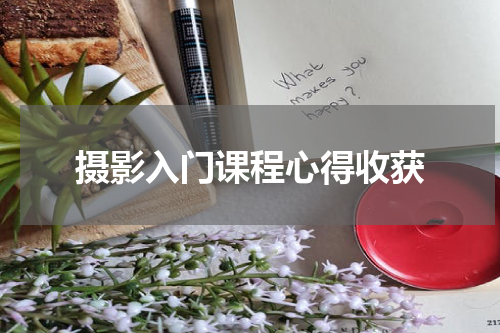 摄影入门课程心得收获