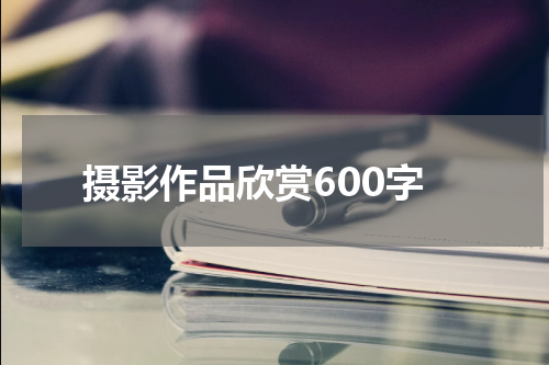 摄影作品欣赏600字