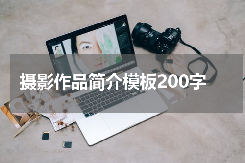 摄影作品简介模板200字