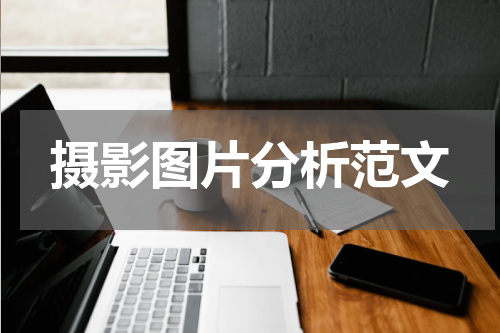 摄影图片分析范文