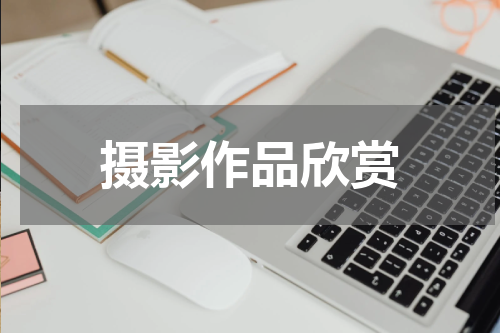 摄影作品欣赏