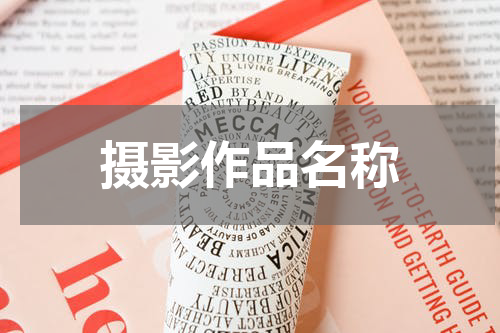 摄影作品名称