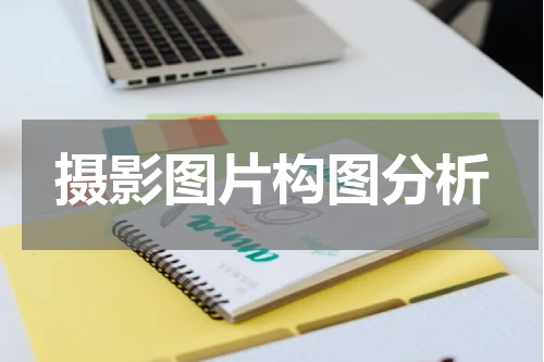 摄影图片构图分析