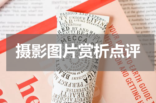 摄影图片赏析点评