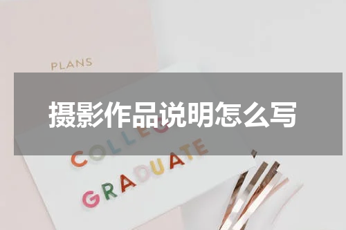摄影作品说明怎么写