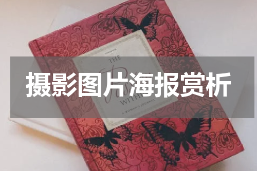 摄影图片海报赏析