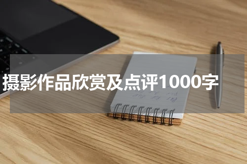 摄影作品欣赏及点评1000字