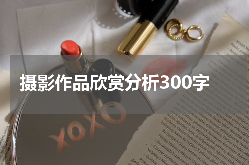 摄影作品欣赏分析300字