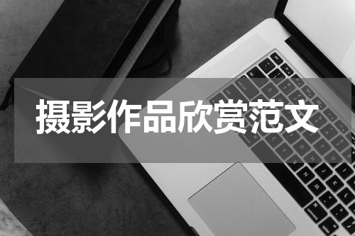 摄影作品欣赏范文