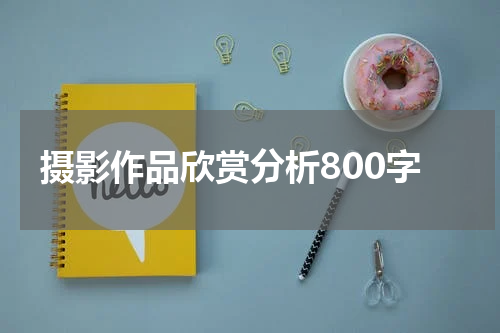 摄影作品欣赏分析800字