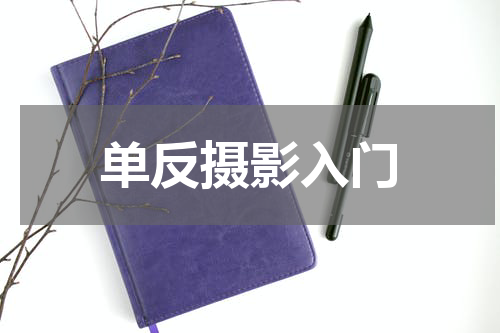 单反摄影入门