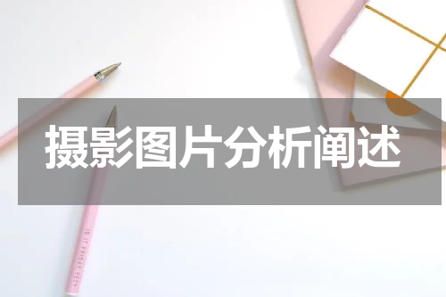 摄影图片分析阐述