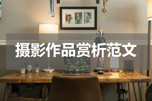 摄影作品赏析范文