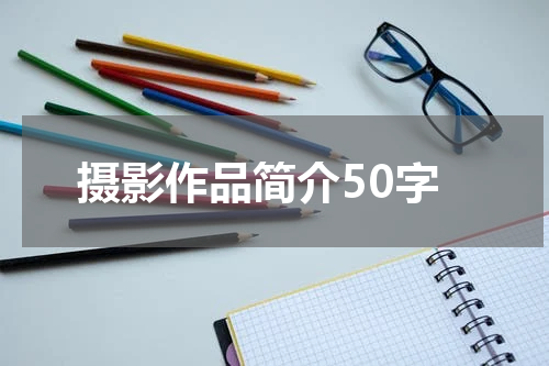 摄影作品简介50字