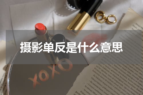 摄影单反是什么意思