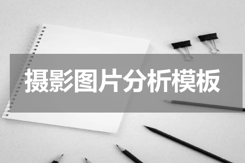 摄影图片分析模板