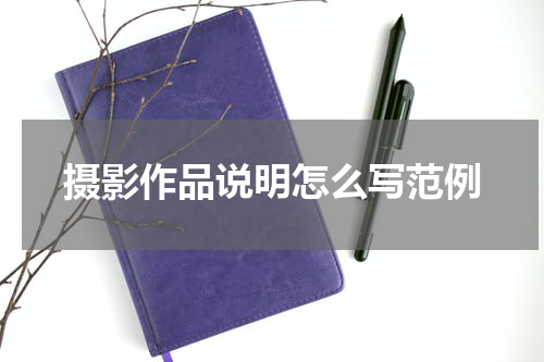 摄影作品说明怎么写范例