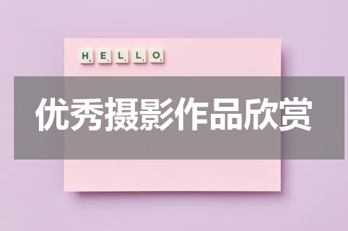 优秀摄影作品欣赏