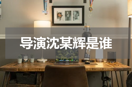导演沈某辉是谁
