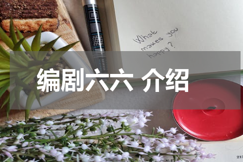 编剧六六 介绍