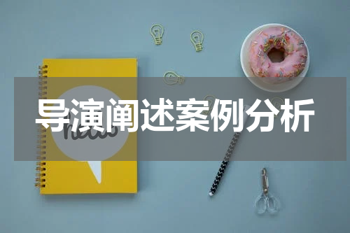 导演阐述案例分析