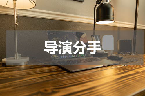导演分手