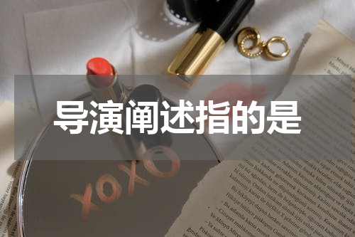 导演阐述指的是
