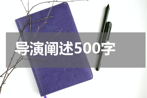 导演阐述500字