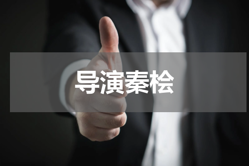 导演秦桧