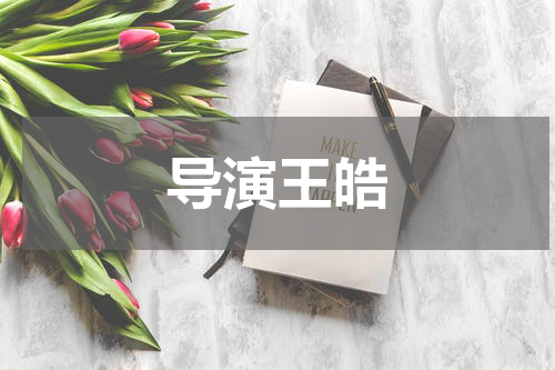 导演王皓