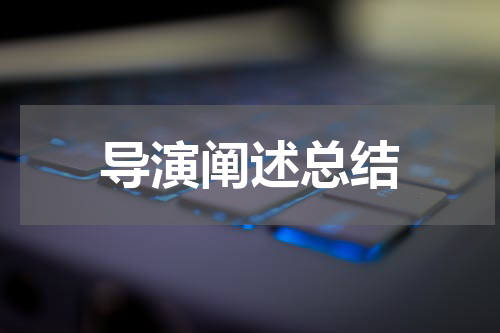 导演阐述总结