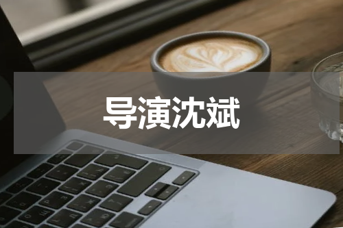 导演沈斌