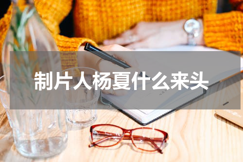 制片人杨夏什么来头