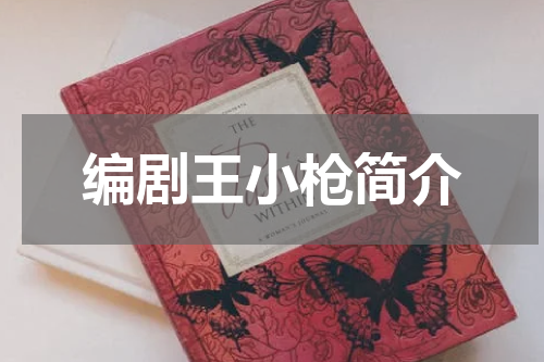 编剧王小枪简介