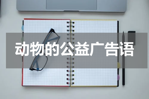 动物的公益广告语