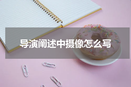 导演阐述中摄像怎么写