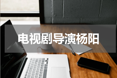 电视剧导演杨阳