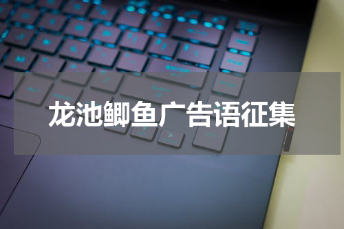 龙池鲫鱼广告语征集