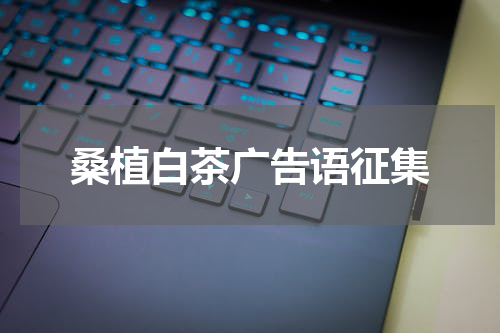 桑植白茶广告语征集