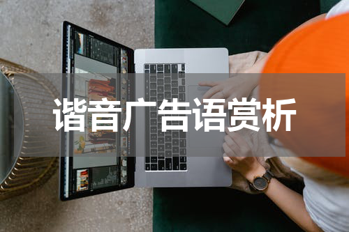 谐音广告语赏析